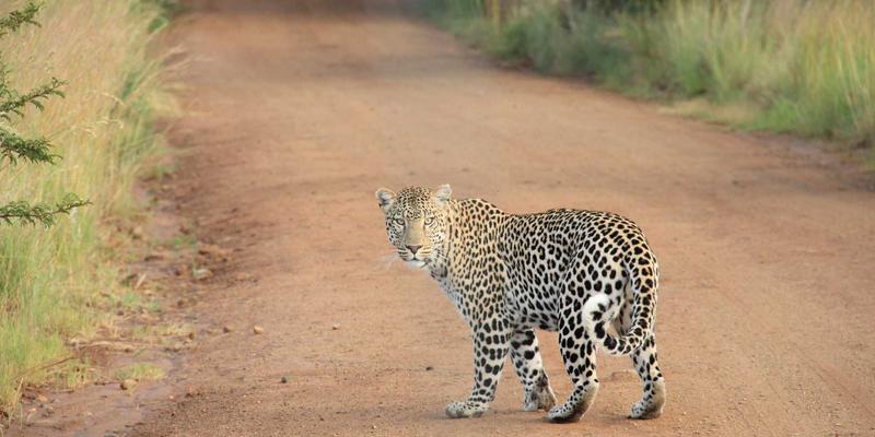 从服饰到平台：大码时尚的多元化发展与品牌包容性实践