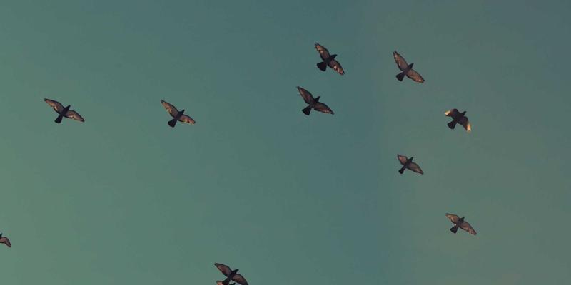 告别快时尚污染：在潮流平台寻找可持续的时尚之星