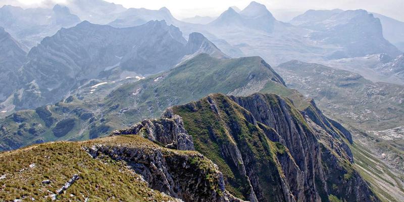 平台鉴证体系如何重塑信任经济：服饰搭配与循环时尚的消费升级之路