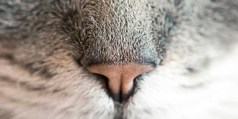 成为自己的时尚之星：如何运用色彩心理学与服饰穿搭提升日常幸福感