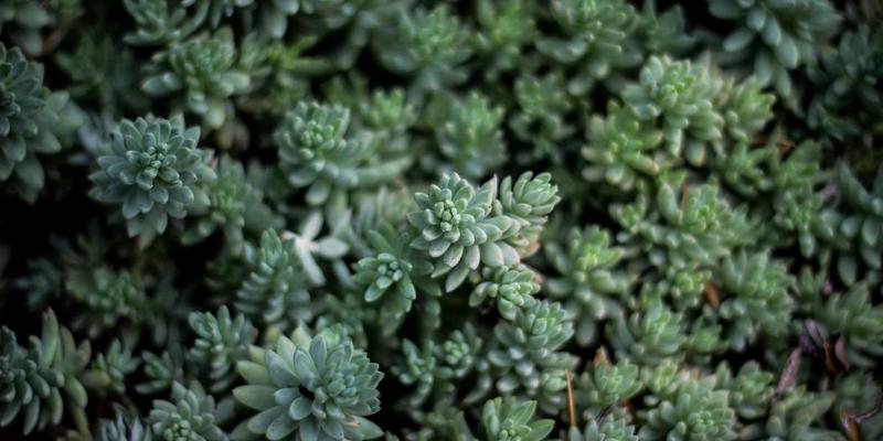 时尚23：解码当代潮流生态，从多元平台到个性搭配的进阶指南