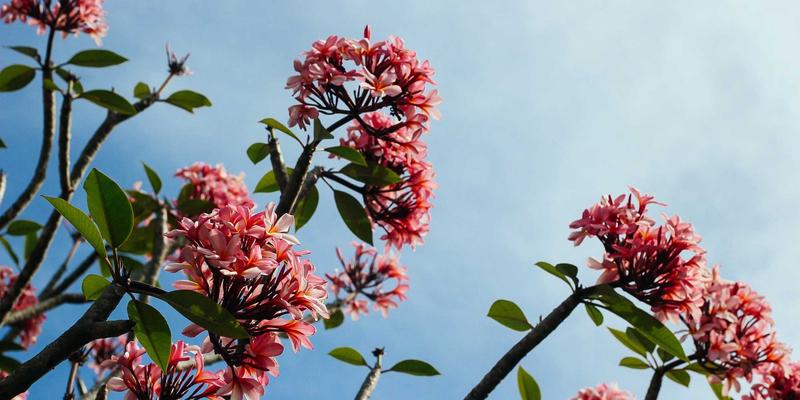 时尚32：解码服饰搭配的底层逻辑，打造属于你的风格体系