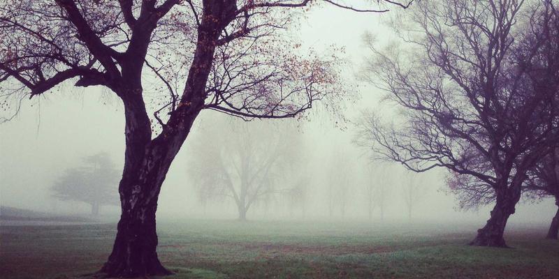 时尚与分享的潮流革命：区块链如何追踪一件衣服的旅程