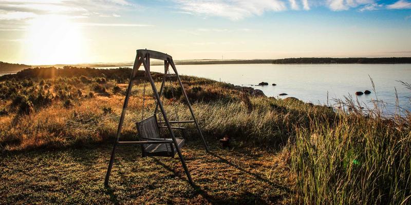 时尚之星养成记:解锁个人风格的分享与进化之路