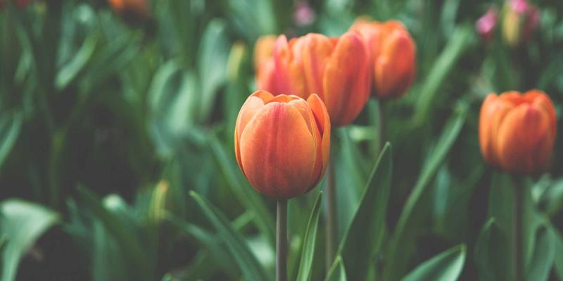 时尚之星分享：掌握三大服饰搭配最佳实践，轻松提升日常穿搭质感