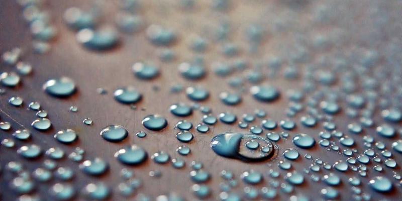 时尚之星引领潮流：小众香水如何成为个人风格表达的新维度