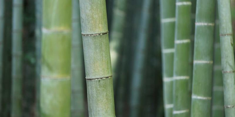 时尚之星必修课：你的穿搭如何无声地塑造他人印象与自我认知