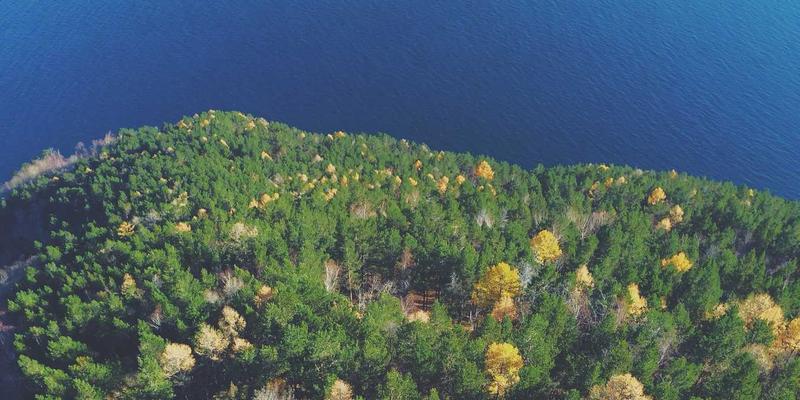 时尚应用：掌握潮流搭配，打造专属风格的社交分享新生态