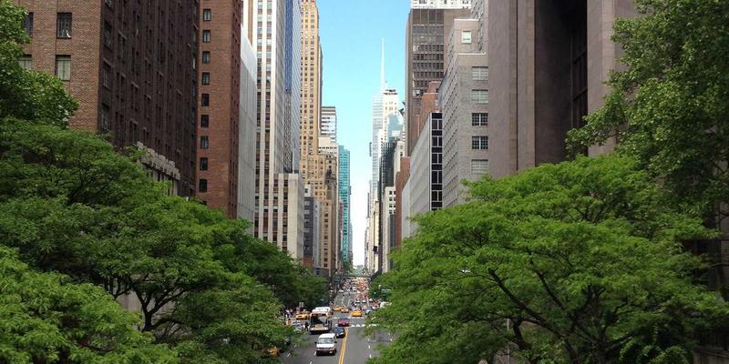 时尚穿搭新革命：大码与特殊体型人群的定制化设计趋势