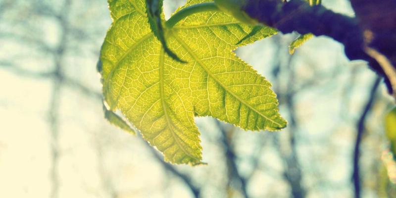 潮流穿搭新宠：智能穿戴如何从健康监测进化为时尚科技配饰