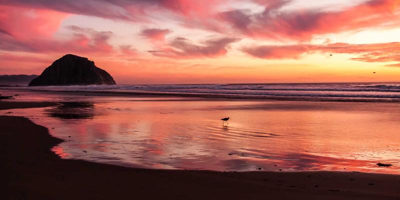 胶囊衣橱构建指南：15件潮流服饰打造多场景穿搭平台